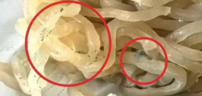 酸辣粉發霉